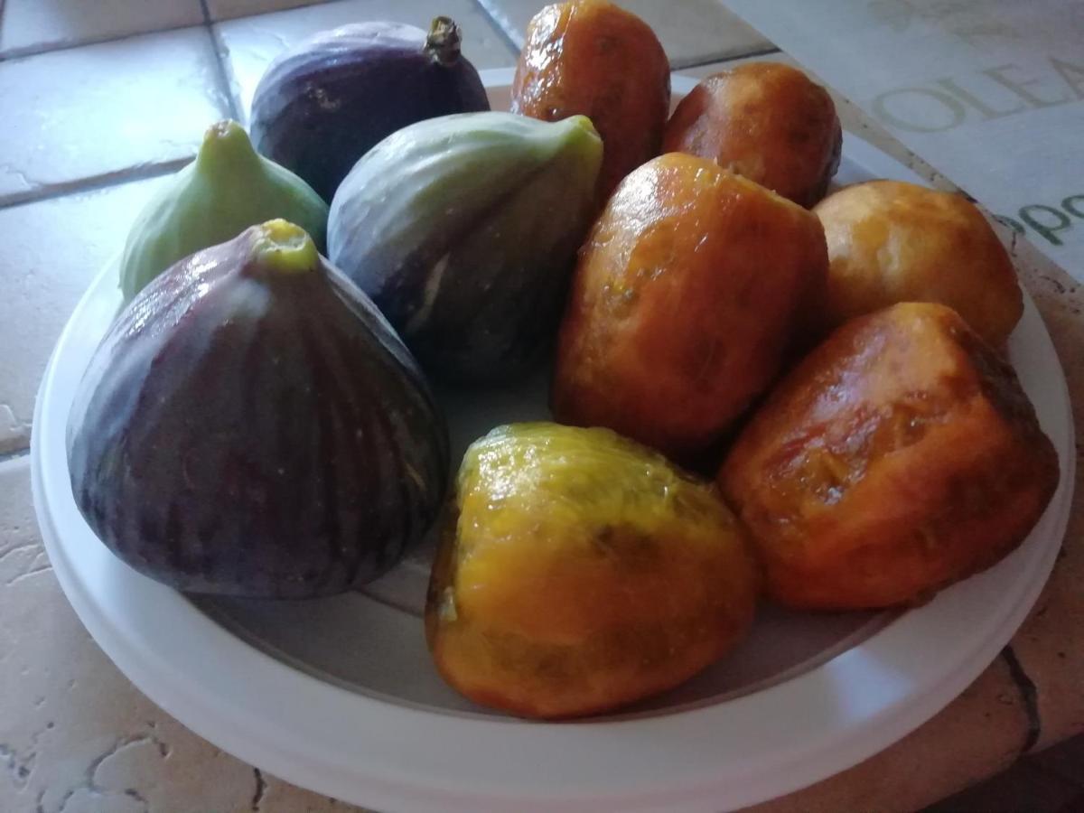 شقة I Due Campanili ألبيروبيللو المظهر الخارجي الصورة